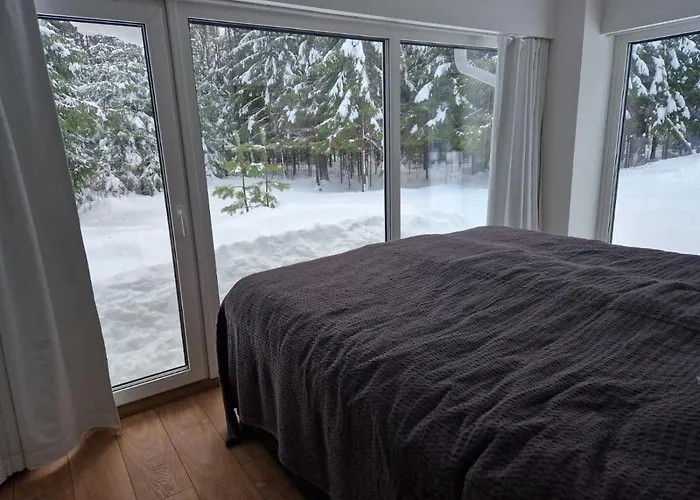 Holiday home Puhkemaja Saunaga