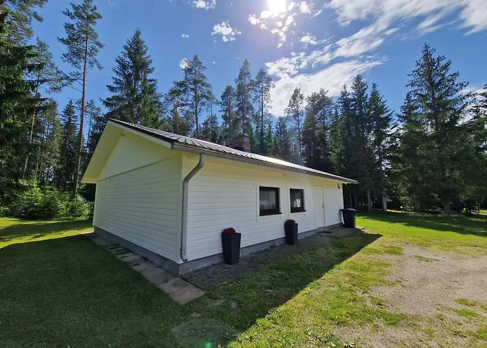 Holiday home Puhkemaja Saunaga *